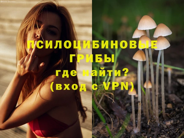 кокс Абинск