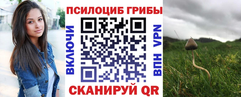 Псилоцибиновые грибы MAGIC MUSHROOMS  Рыльск 